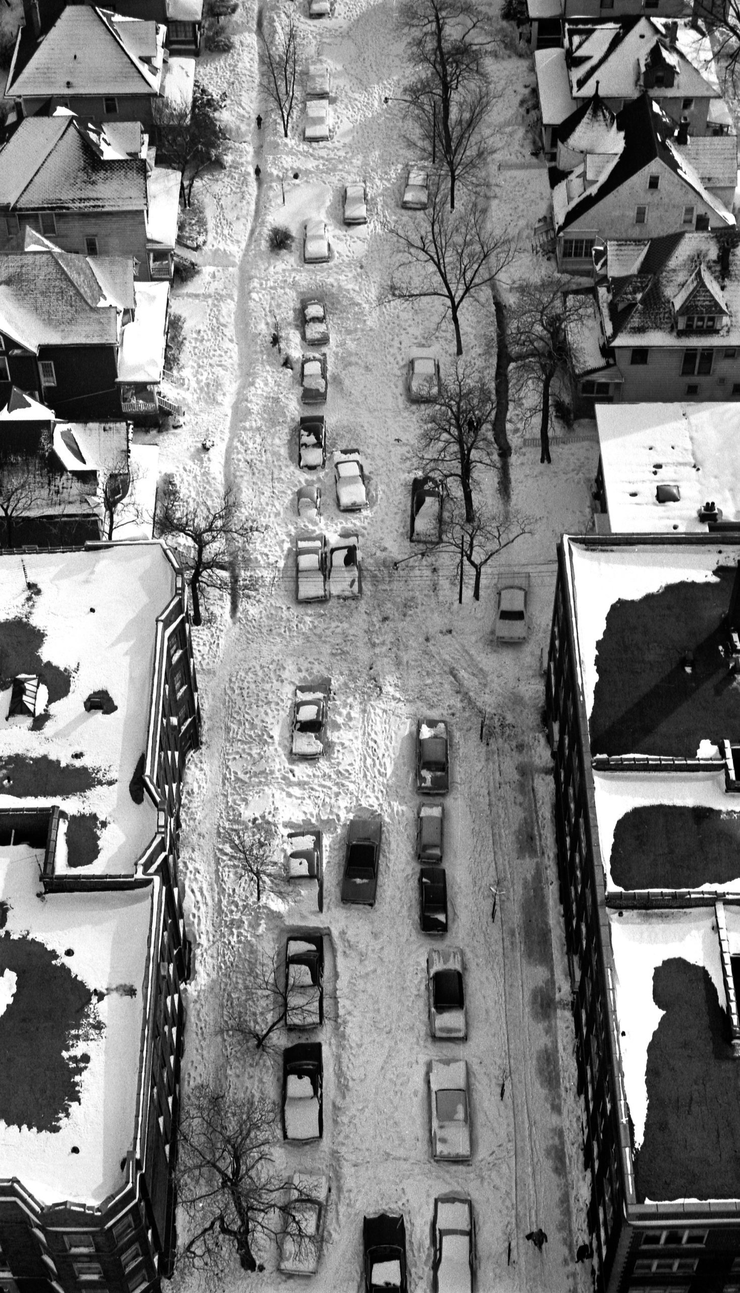 Aerial view of cars stuck on Greenview Avenue in Rogers Park following a record 23-inch snow blizzard