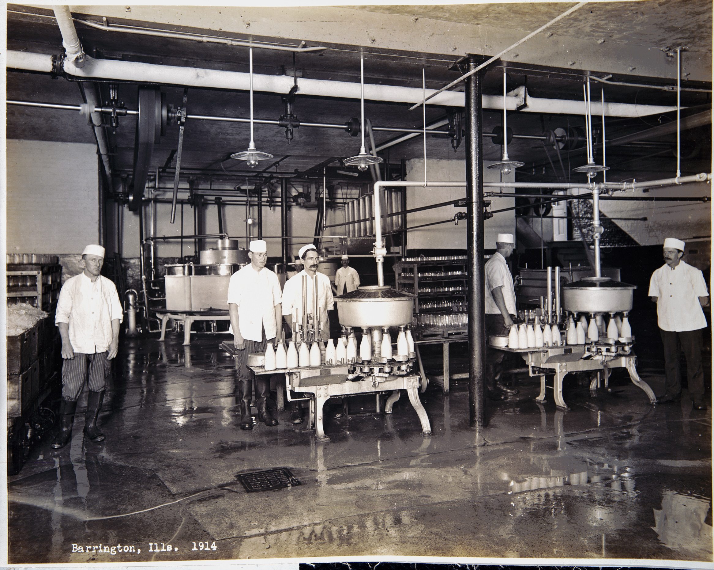 Workers bottling milk at the Bowman Dairy Company, Barrington, Illinois, 1914.