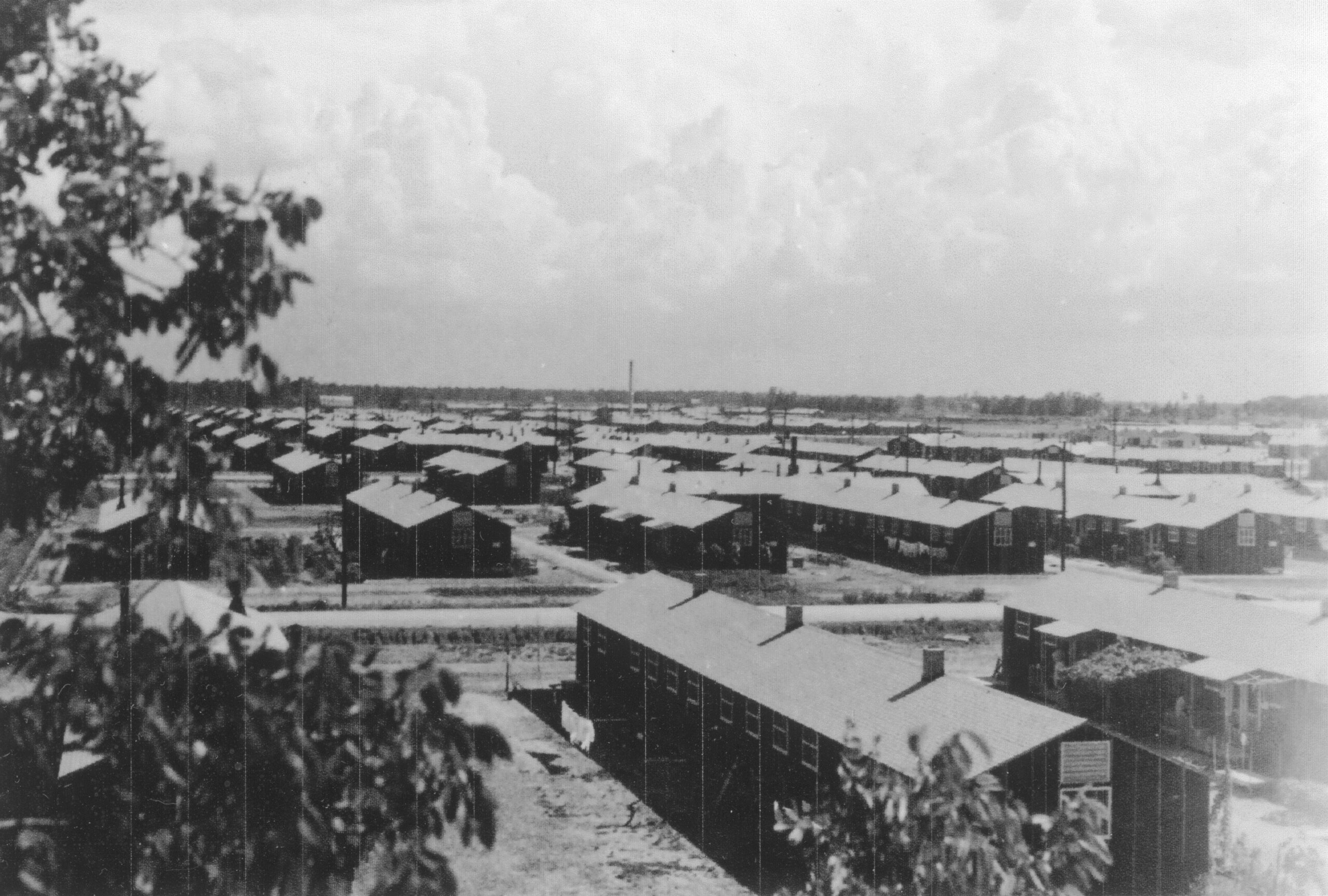 Rows of barrack structures