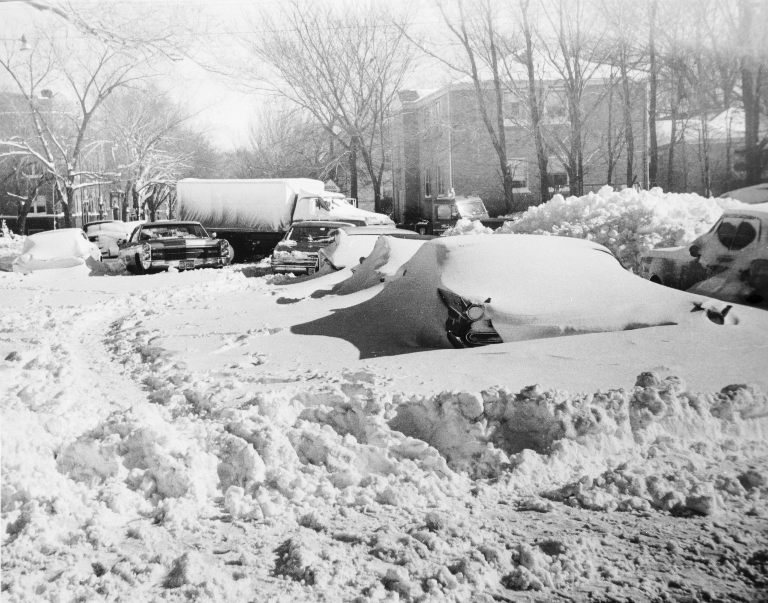 Cars covered with snow, view of Rosemont looking east from California