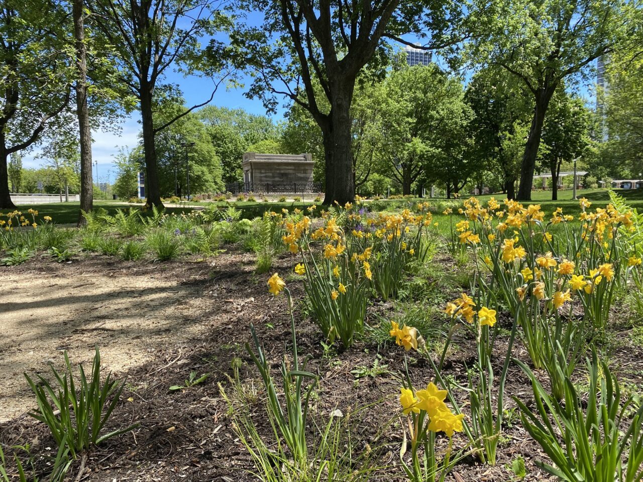 Daffodils & Couch Tomb on the Jaffee Trail