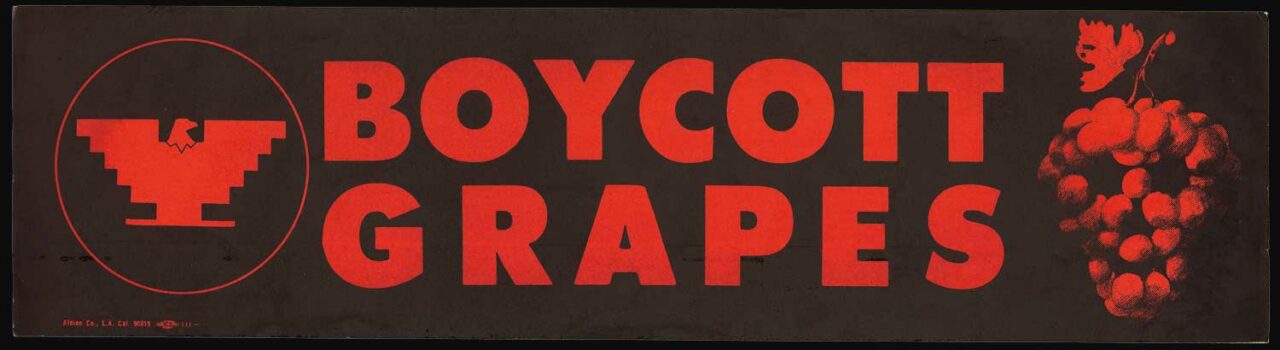 UFW grape boycott bumper sticker