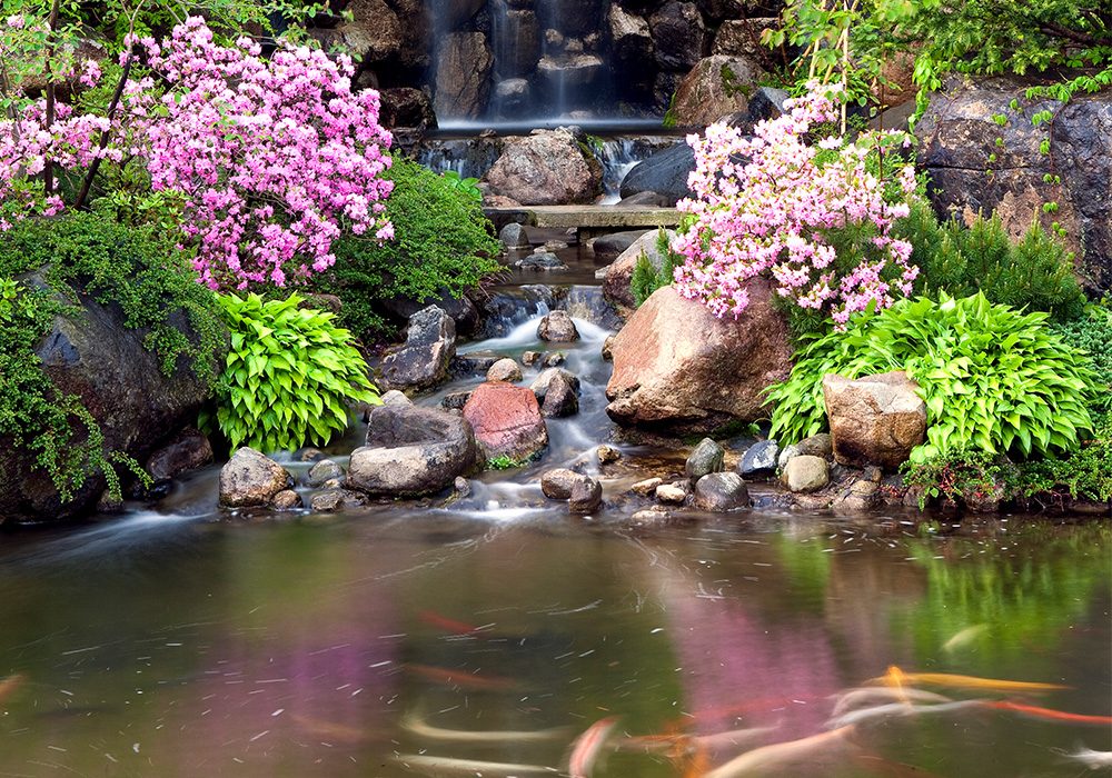 anderson gardens 2