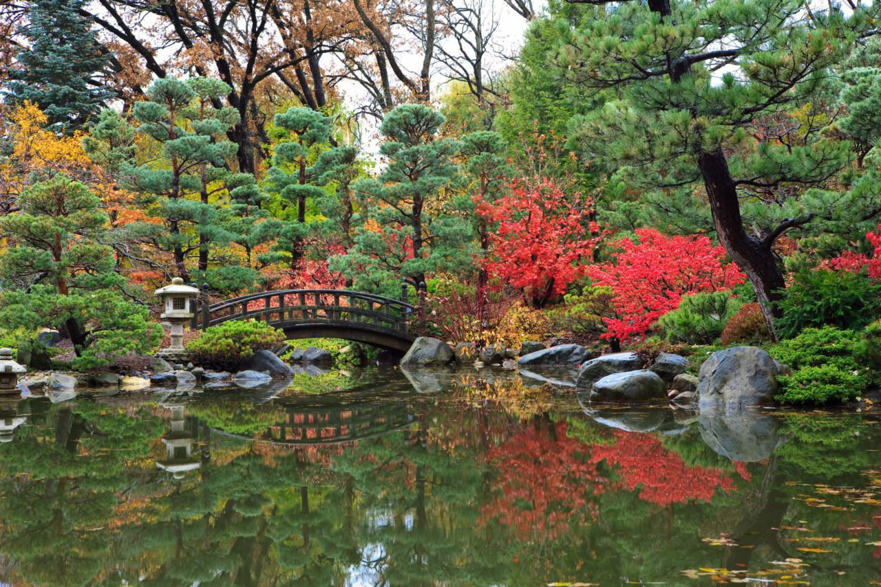 anderson gardens 7