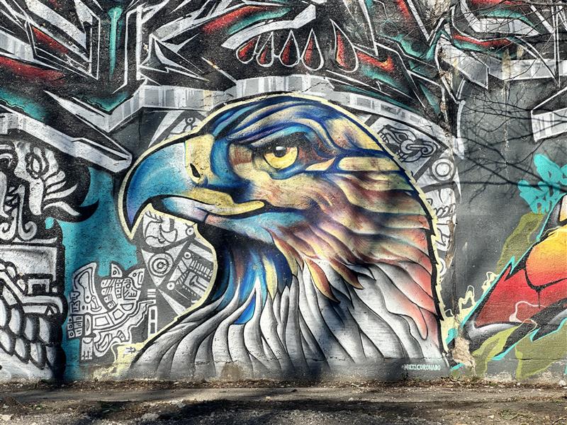 Pilsen Mural-walking tour